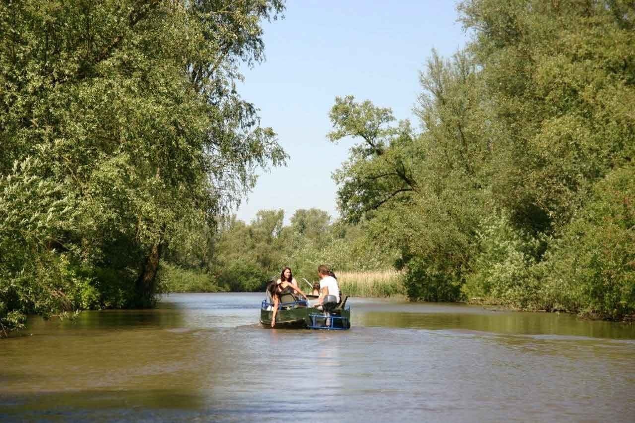 Nationalpark De Biesbosch