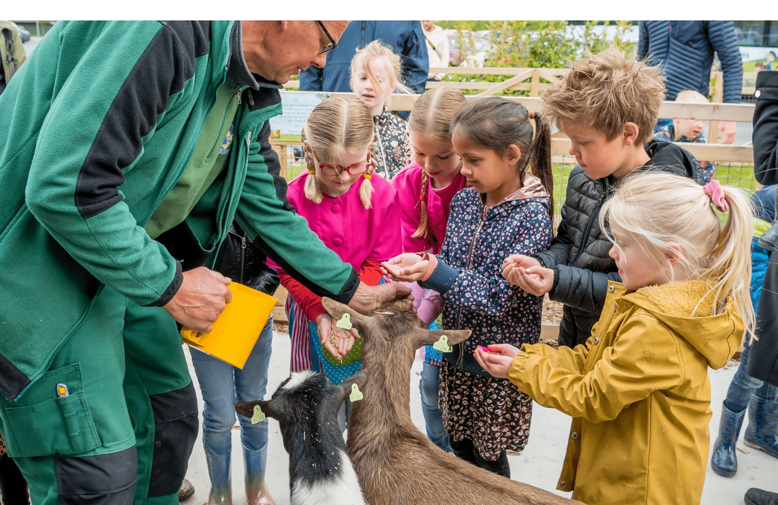 Dieren verzorgen avb