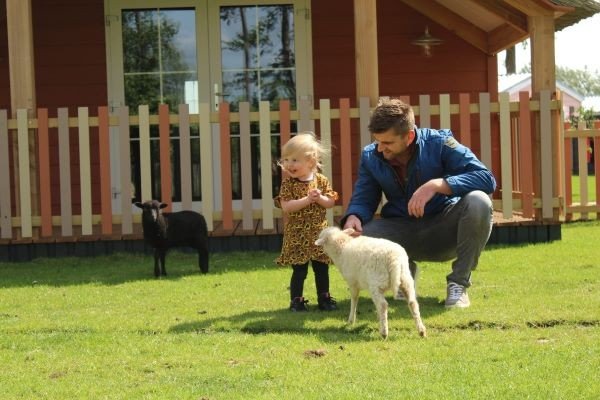 Familienurlaub in Holland mit Bauernhof