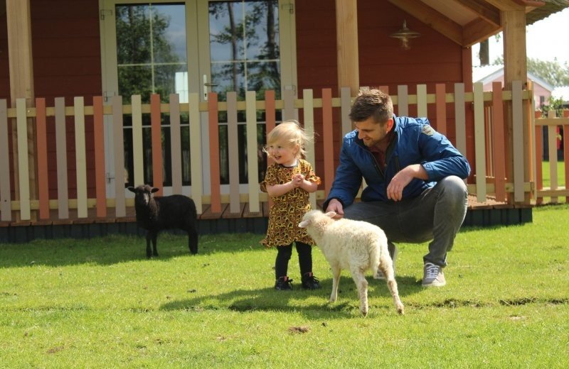 Urlaub Bauernhof mit Streichelzoo