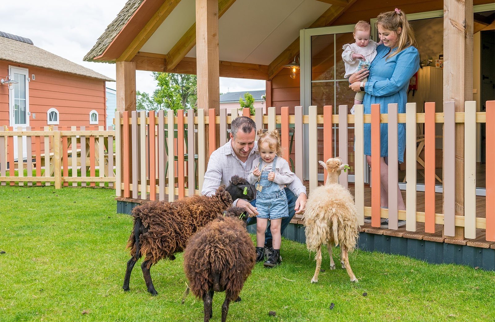 Mike & Molly Schafstall (6 Personen)