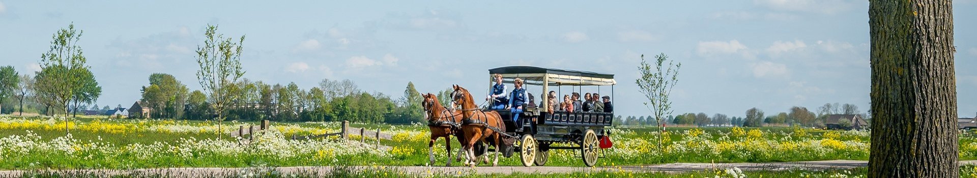 Mögliche Exkursionen und Vermietungen