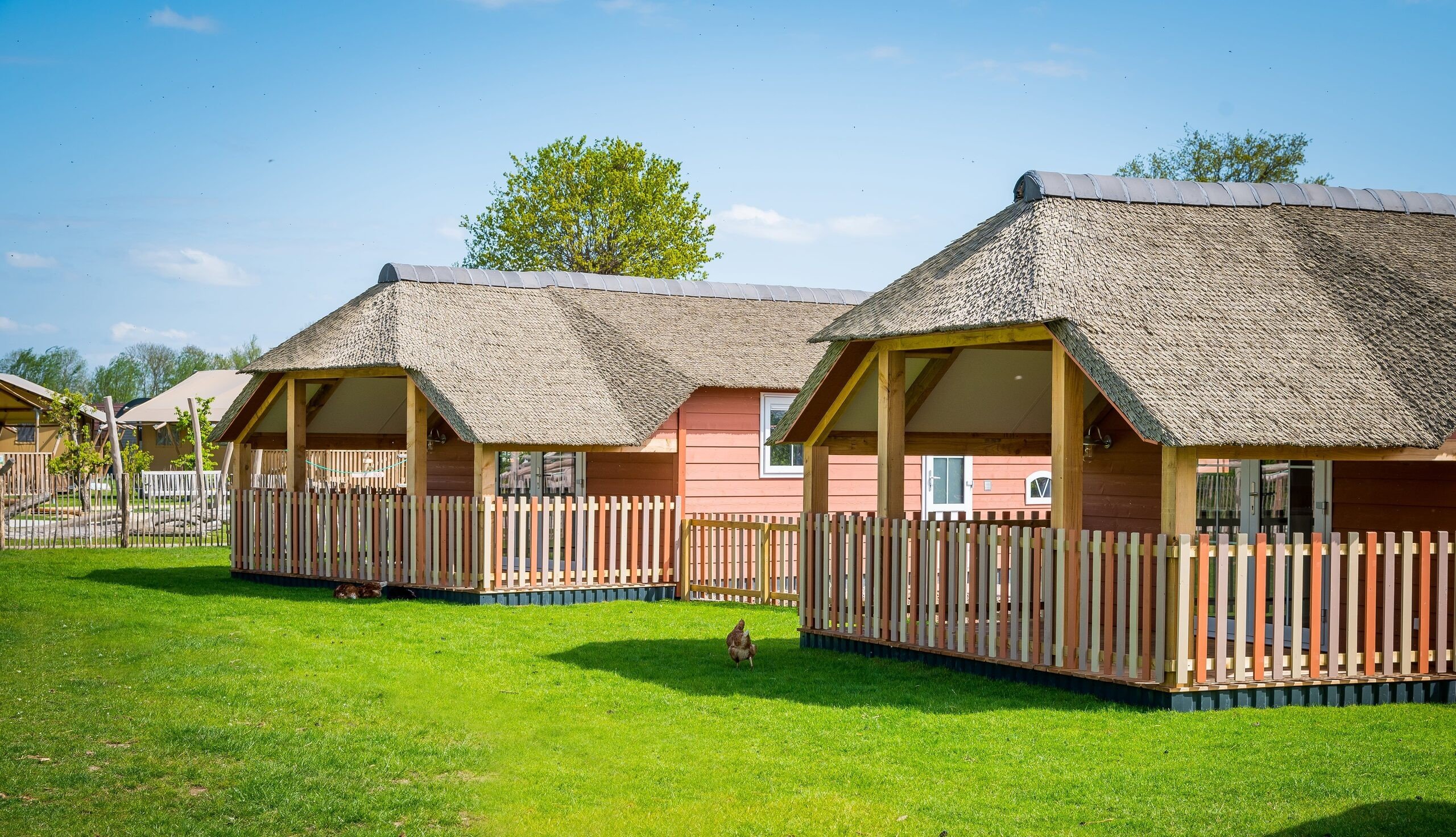 Mike & Molly Schafstall