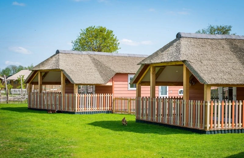 Mike & Molly Schafstall