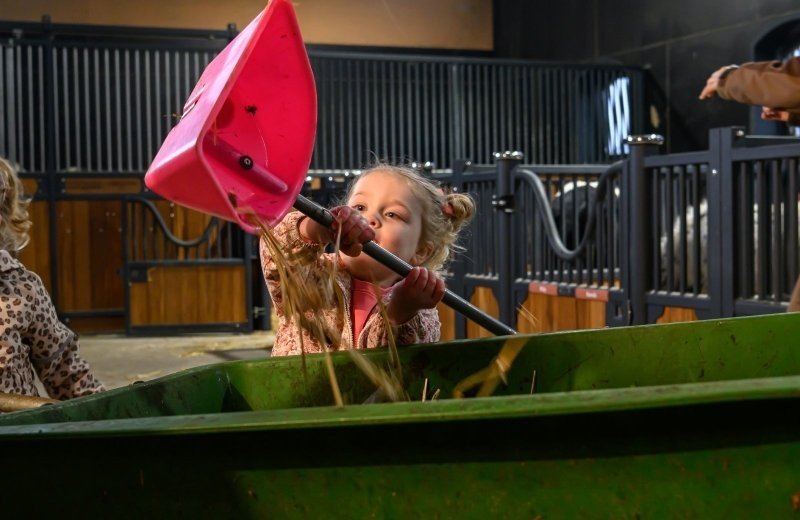 Stip de pony ranch stal schoonmaken